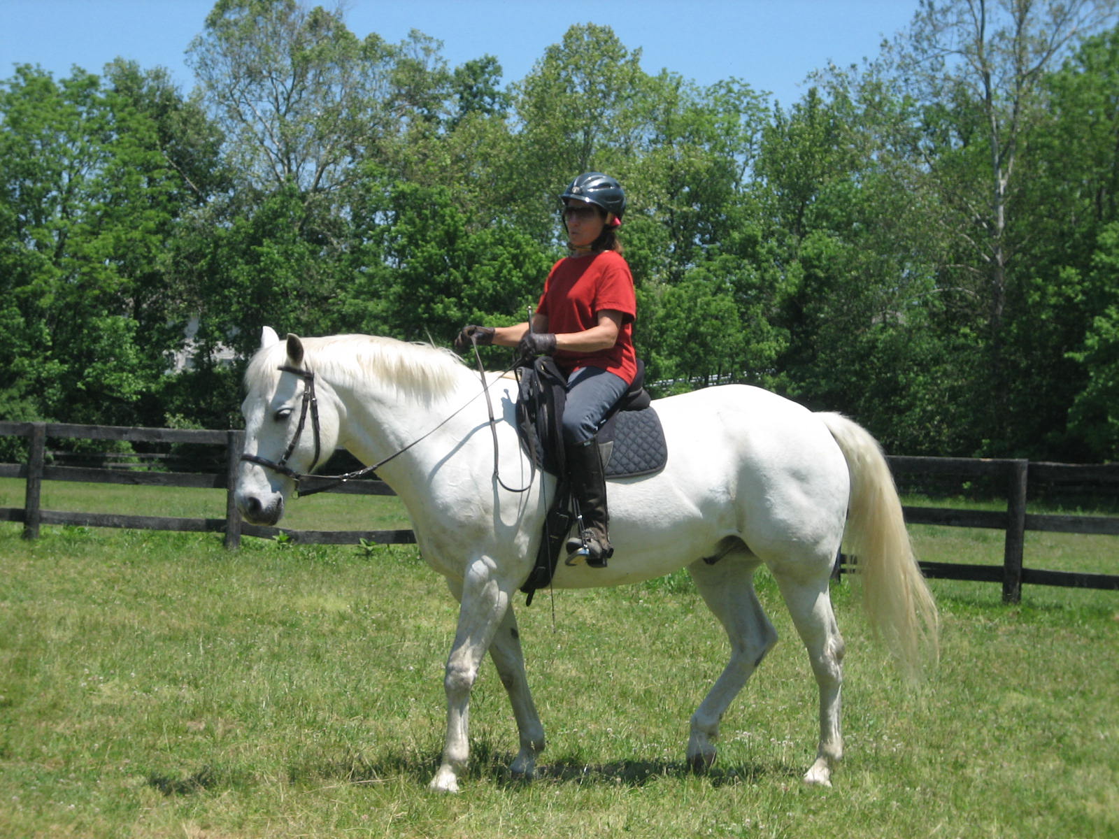 Mimi Porter riding a grey horse in a Kentucky paddock